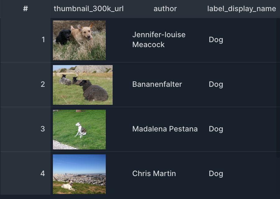 Table Image Preview